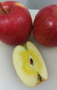apple01